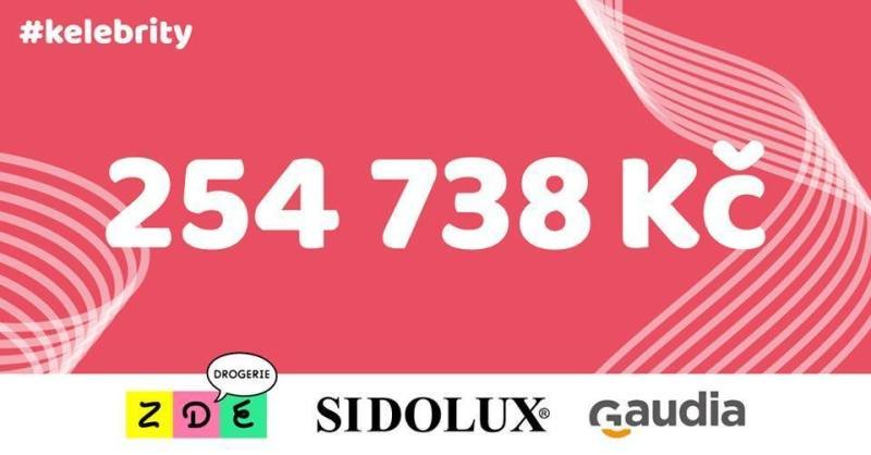 Na Kelebrity bazaru se vybralo 254 738 Kč.